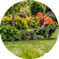 Petit Jardinage